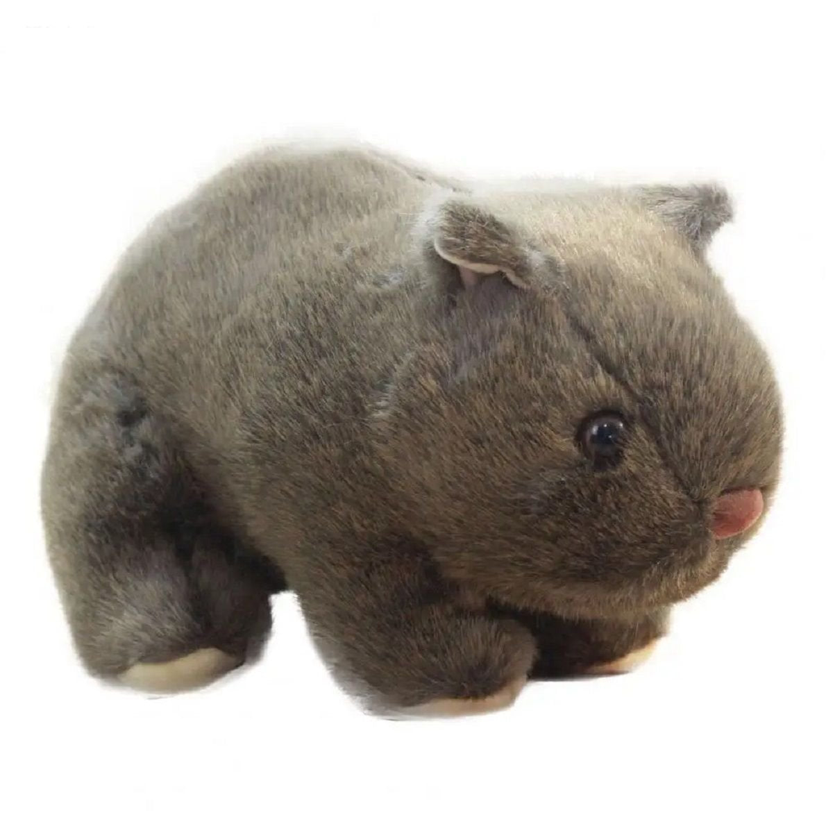 Wombat plush toy - Grey 18 cm image