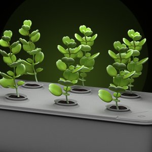 Hydroponics Growing System Indoor Garden Herb Garden image 3