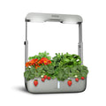 Hydroponics Growing System Indoor Garden Herb Garden image 0