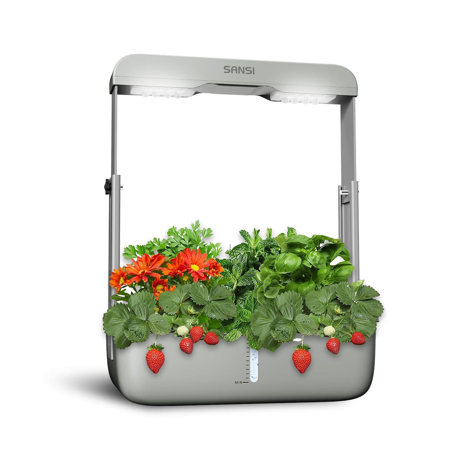 Hydroponics Growing System Indoor Garden Herb Garden image 0
