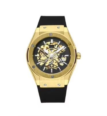 Men Luxury Brand Automatic Mechanical Wristwatch image 0