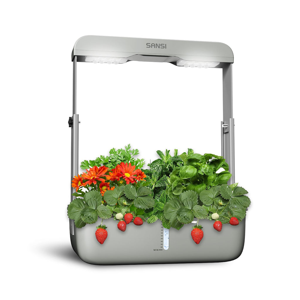 Hydroponics Growing System Indoor Garden Herb Garden image 1