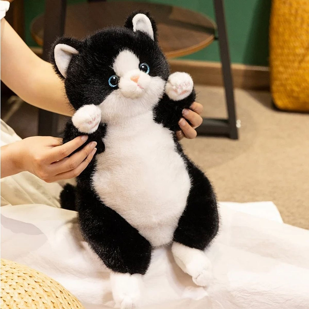 Plush Dog Cat image 7